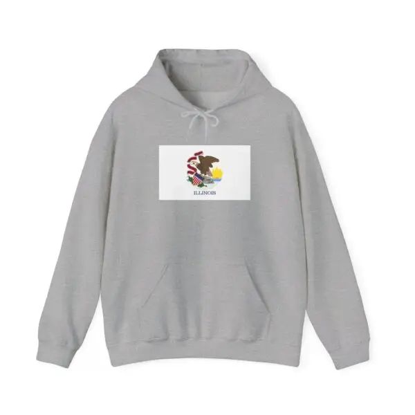 State Flag Graphic Hoodie, Cozy Casual Sweatshirt, Unisex Gift, Fall Fashion, Vintage Look - Illinois