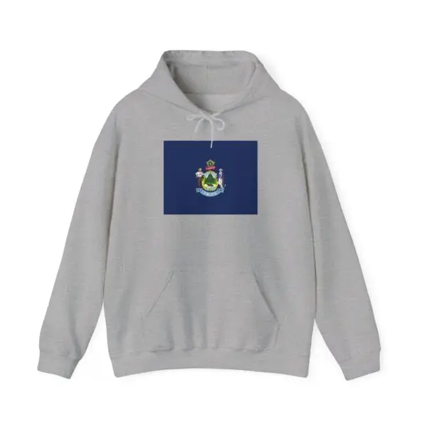 State Flag Graphic Hoodie, Cozy Casual Sweatshirt, Unisex Gift, Fall Fashion, Vintage Look - Maine