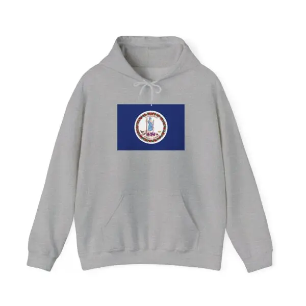 State Flag Graphic Hoodie, Cozy Casual Sweatshirt, Unisex Gift, Fall Fashion, Vintage Look - Virginia