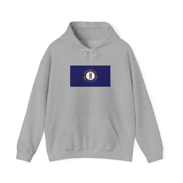 State Flag Graphic Hoodie, Cozy Casual Sweatshirt, Unisex Gift, Fall Fashion, Vintage Look - Kentucky