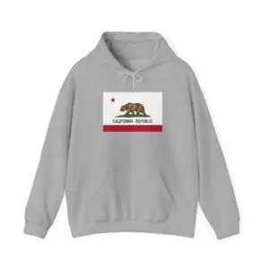 State Flag Graphic Hoodie, Cozy Casual Sweatshirt, Unisex Gift, Fall Fashion, Vintage Look