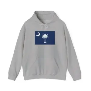 State Flag Graphic Hoodie, Cozy Casual Sweatshirt, Unisex Gift, Fall Fashion, Vintage Look - South_Carolina
