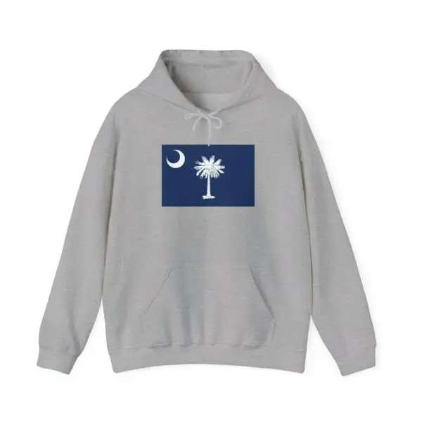 State Flag Graphic Hoodie, Cozy Casual Sweatshirt, Unisex Gift, Fall Fashion, Vintage Look - South_Carolina