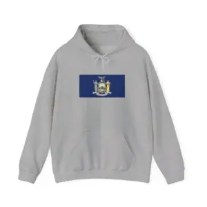 State Flag Graphic Hoodie, Cozy Casual Sweatshirt, Unisex Gift, Fall Fashion, Vintage Look - New_York