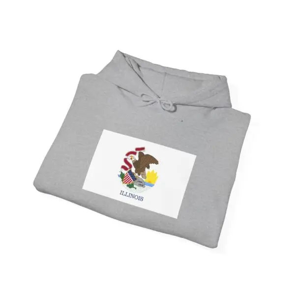State Flag Graphic Hoodie, Cozy Casual Sweatshirt, Unisex Gift, Fall Fashion, Vintage Look - Illinois - Image 4