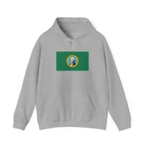 State Flag Graphic Hoodie, Cozy Casual Sweatshirt, Unisex Gift, Fall Fashion, Vintage Look - Washington
