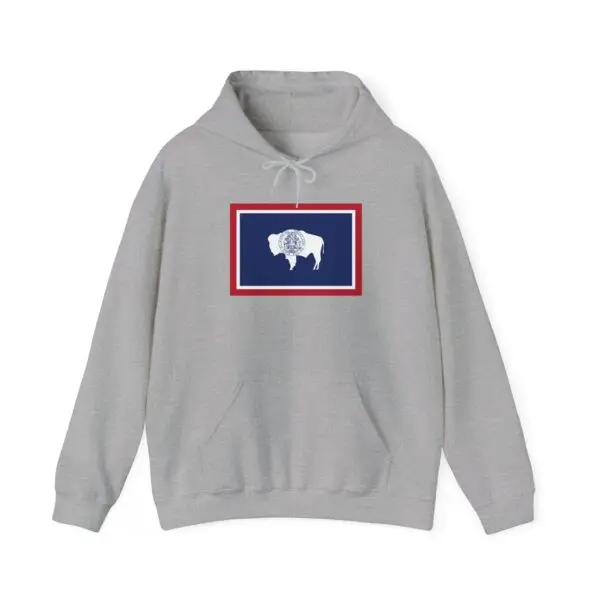 State Flag Graphic Hoodie, Cozy Casual Sweatshirt, Unisex Gift, Fall Fashion, Vintage Look - Wyoming