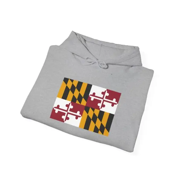 State Flag Graphic Hoodie, Cozy Casual Sweatshirt, Unisex Gift, Fall Fashion, Vintage Look - Maryland - Image 4
