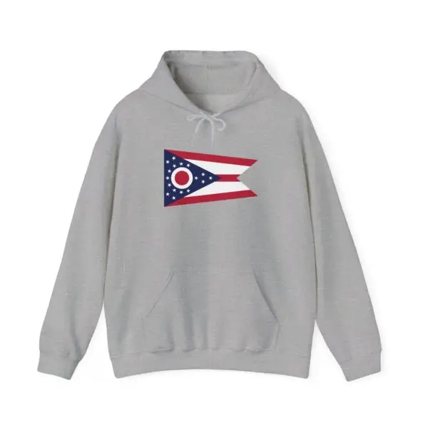 State Flag Graphic Hoodie, Cozy Casual Sweatshirt, Unisex Gift, Fall Fashion, Vintage Look - Ohio