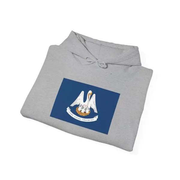 State Flag Graphic Hoodie, Cozy Casual Sweatshirt, Unisex Gift, Fall Fashion, Vintage Look - Louisiana - Image 4