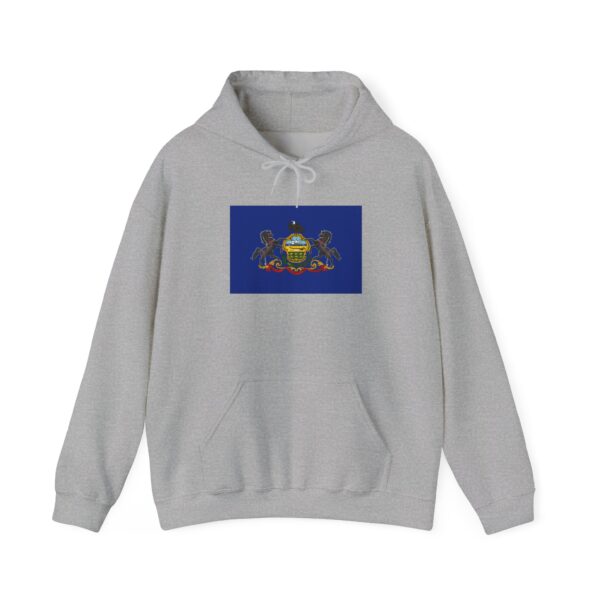 State Flag Graphic Hoodie, Cozy Casual Sweatshirt, Unisex Gift, Fall Fashion, Vintage Look - Pennsylvania