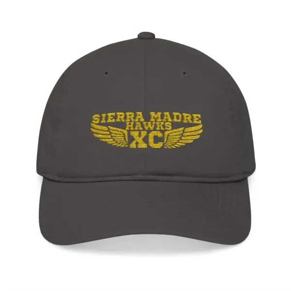 Organic Embroidered Baseball Cap, Eco-Friendly Hat, Trendy Sports Cap, Personalized Gift, Unisex Outdoor Headwear