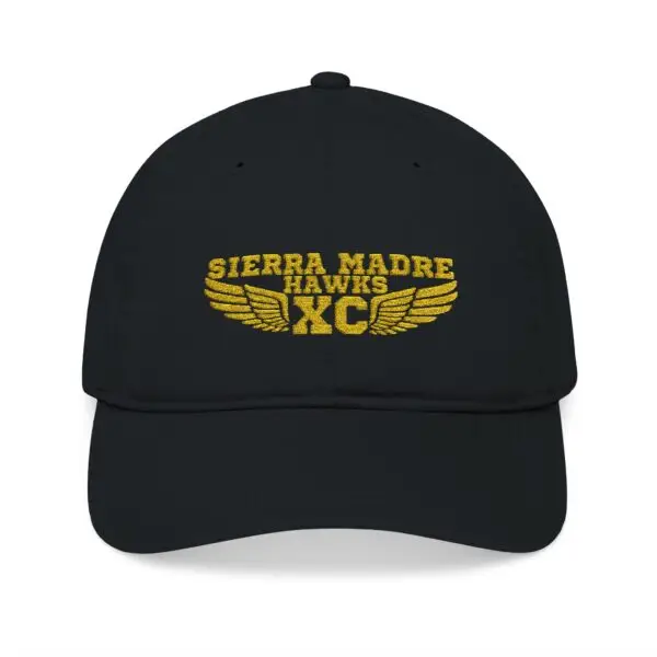 Organic Embroidered Baseball Cap, Eco-Friendly Hat, Trendy Sports Cap, Personalized Gift, Unisex Outdoor Headwear - Image 3